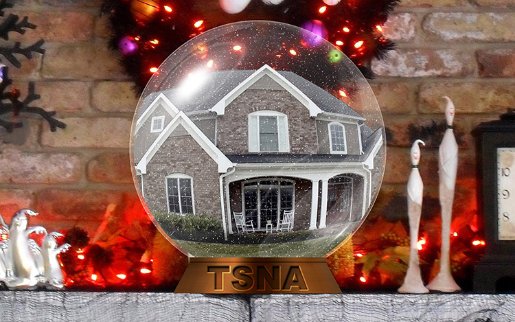 TSNA Globe