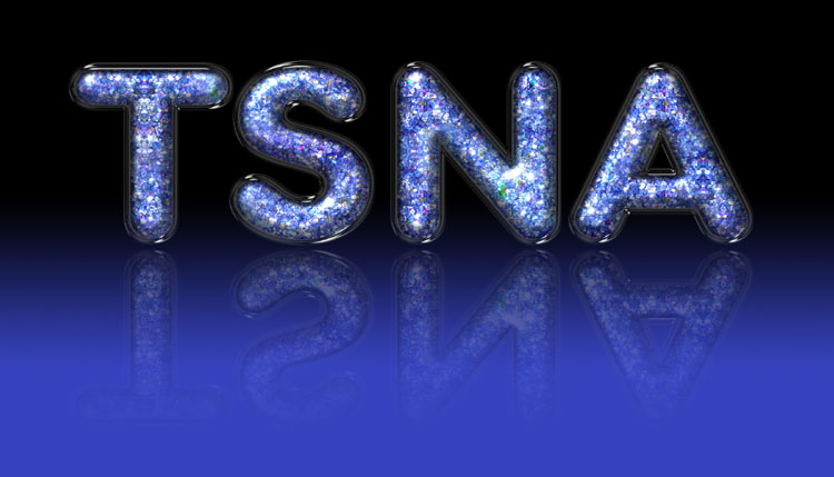 TSNA Glitter