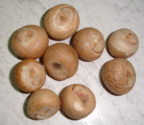 Betel Nuts