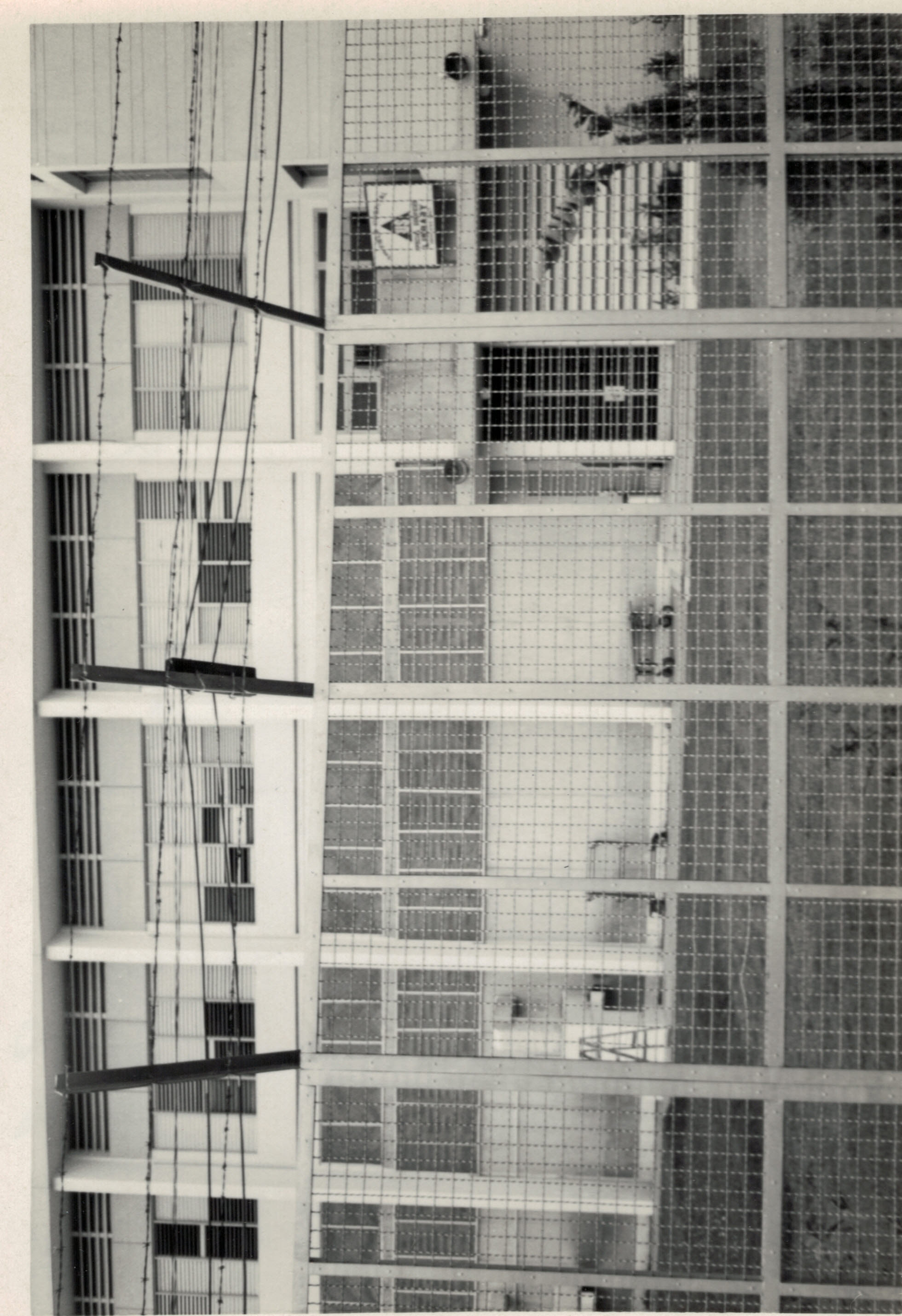 TSN 1970