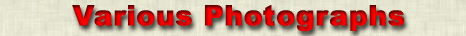 Various Photographs