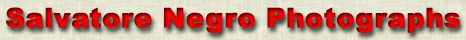 Salvatore Negro Photographs